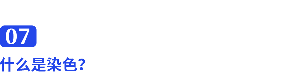 images/8/2025/06/uXLddaPd4aL4uBUPDRUQeeiE1Pp1lR.png